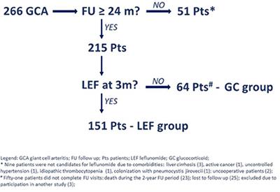 Performance of leflunomide as a steroid-sparing agent in giant cell arteritis: A single-center, open-label study